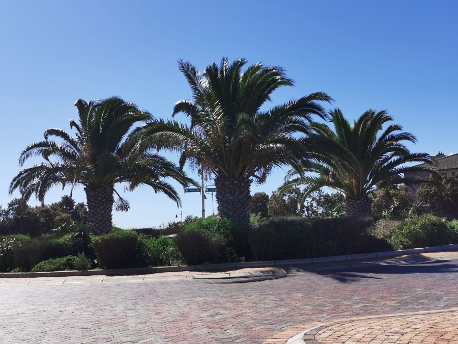 0 Bedroom Property for Sale in Langebaan Country Estate Western Cape